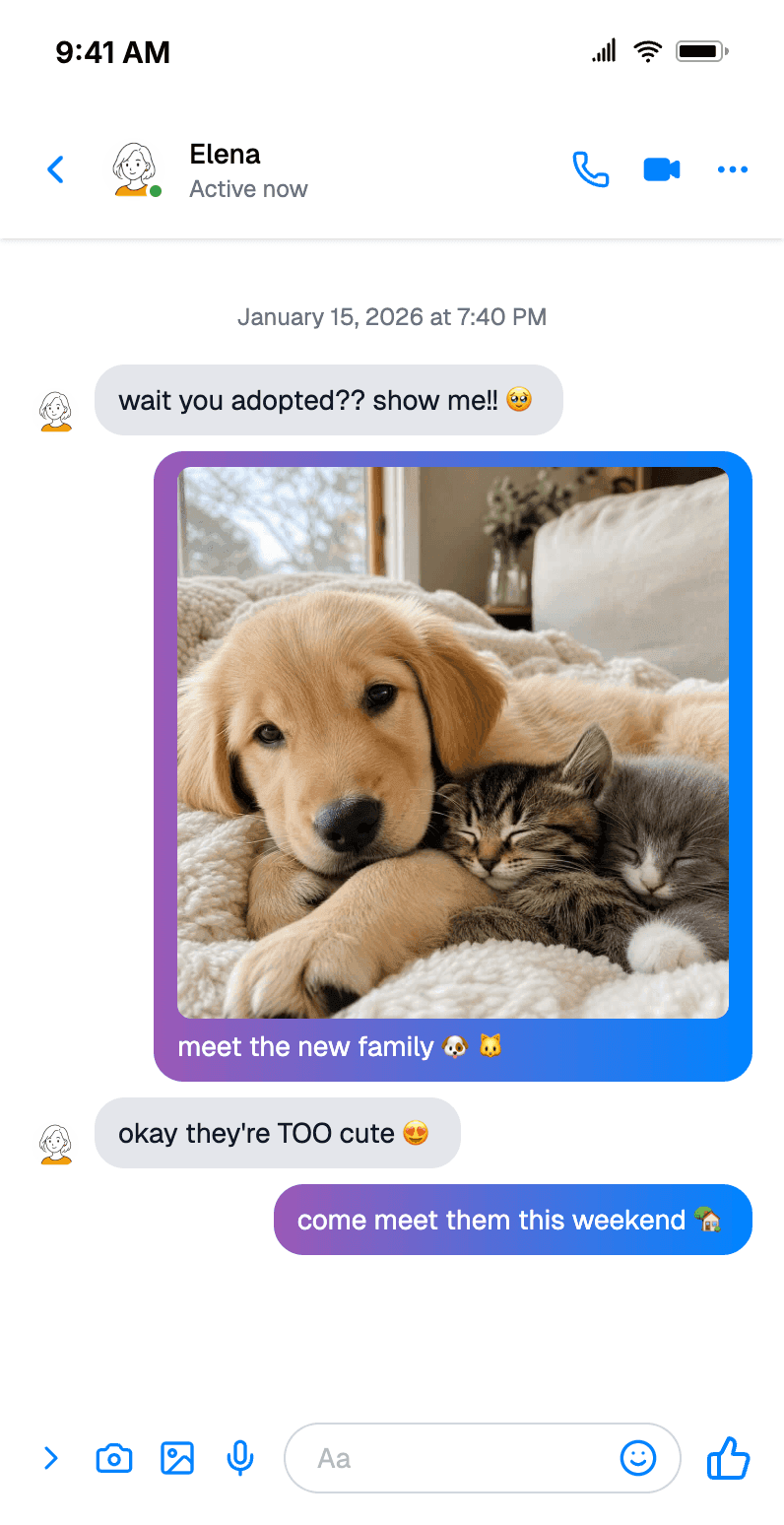 Fake Messenger Fake Messenger Chat Generator | Mockly