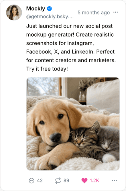 Fake Bluesky post mockup