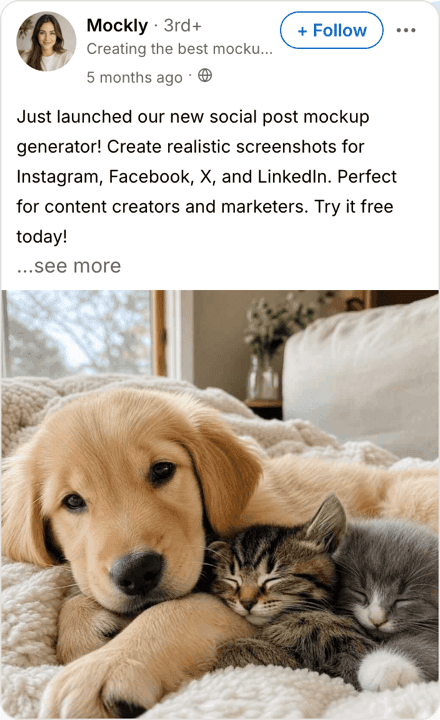 Fake LinkedIn post mockup