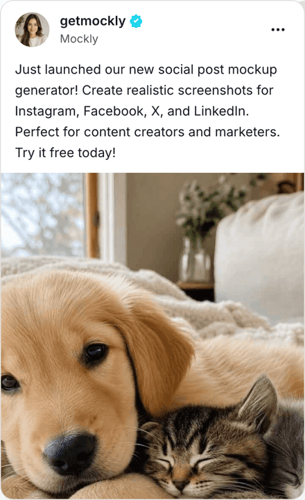 Fake TikTok post mockup