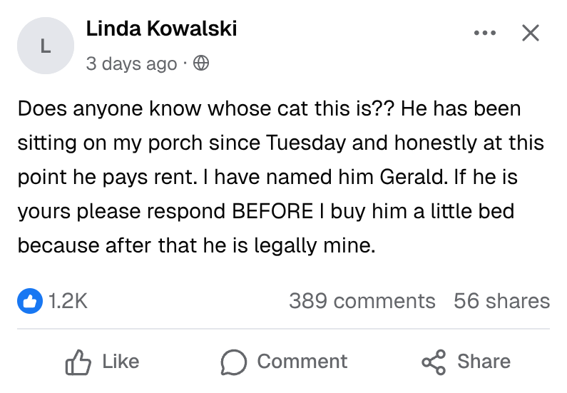 Fake Facebook post: a neighbor asking whose cat has been on her porch since Tuesday, announcing she will keep him, with 1.2K reactions