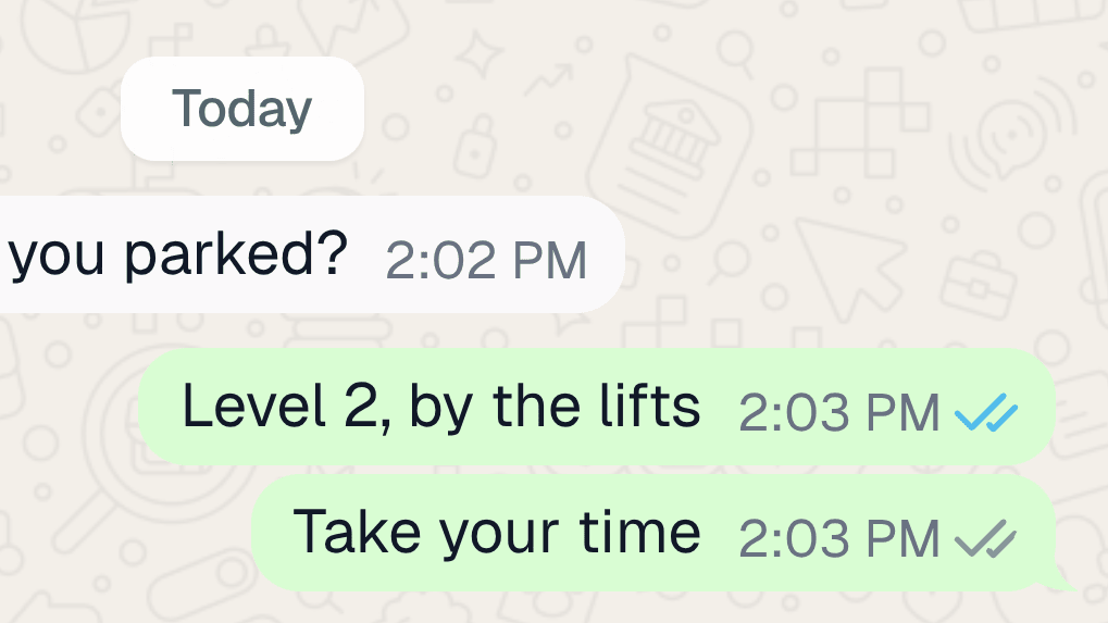 Zoomed WhatsApp mockup showing blue double ticks on a read message and gray double ticks on a delivered one, both on the sender's side