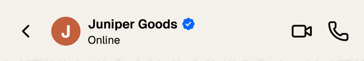 Close-up of the WhatsApp Business mockup header with the logo avatar, the business name, the blue verified badge, and the Online status